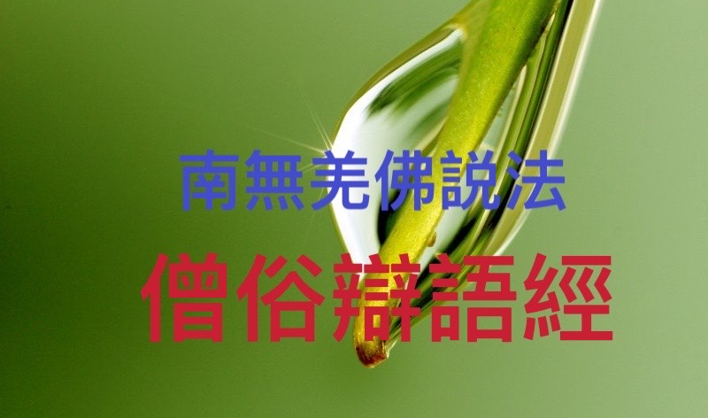 南無羌佛說法《僧俗辯語經》