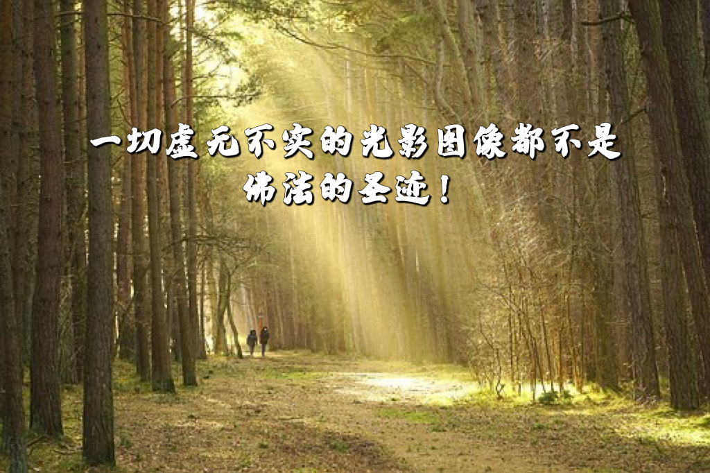一切虚无不实的光影图像都不是佛法的圣迹!