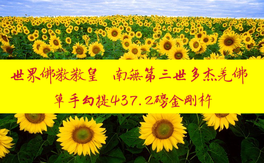 世界佛教教皇 南無第三世多杰羌佛 單手勾提437.2磅金剛杵