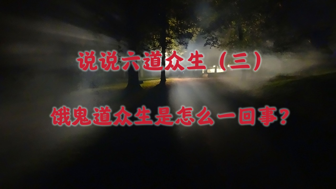 说说六道众生(三):饿鬼道众生是怎么一回事? – 頂禮 H.H. 第三世多杰羌佛– 正教