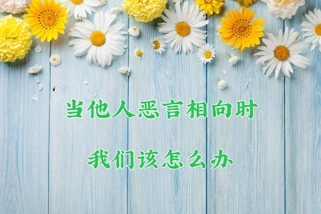 当他人恶言相向时，我们该怎么办 