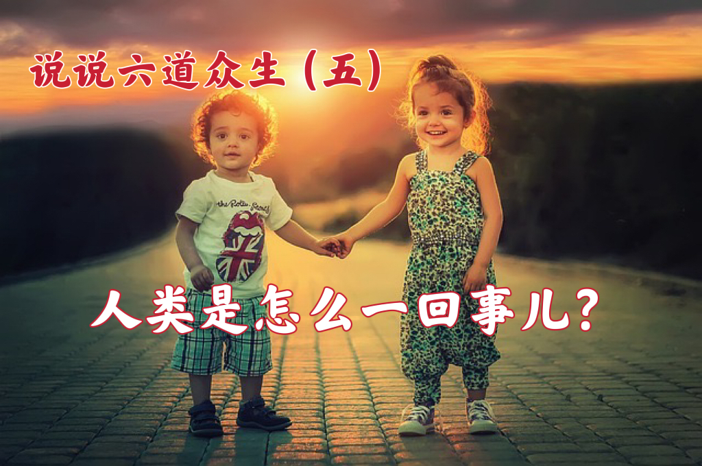 说说六道众生：（五）人类是怎么一回事儿？