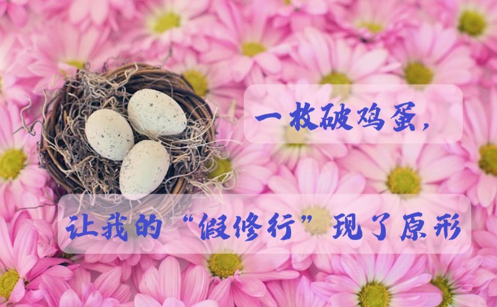 一枚破鸡蛋, 让我的“假修行”现了原形