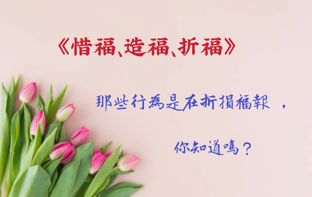 《 惜福、造福、折福》哪些行為是在折損福報,你知道嗎?