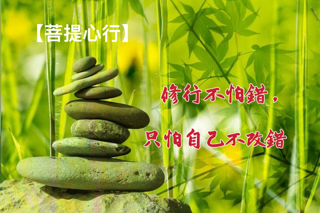 【菩提心行】修行不怕錯，只怕自己不改錯   