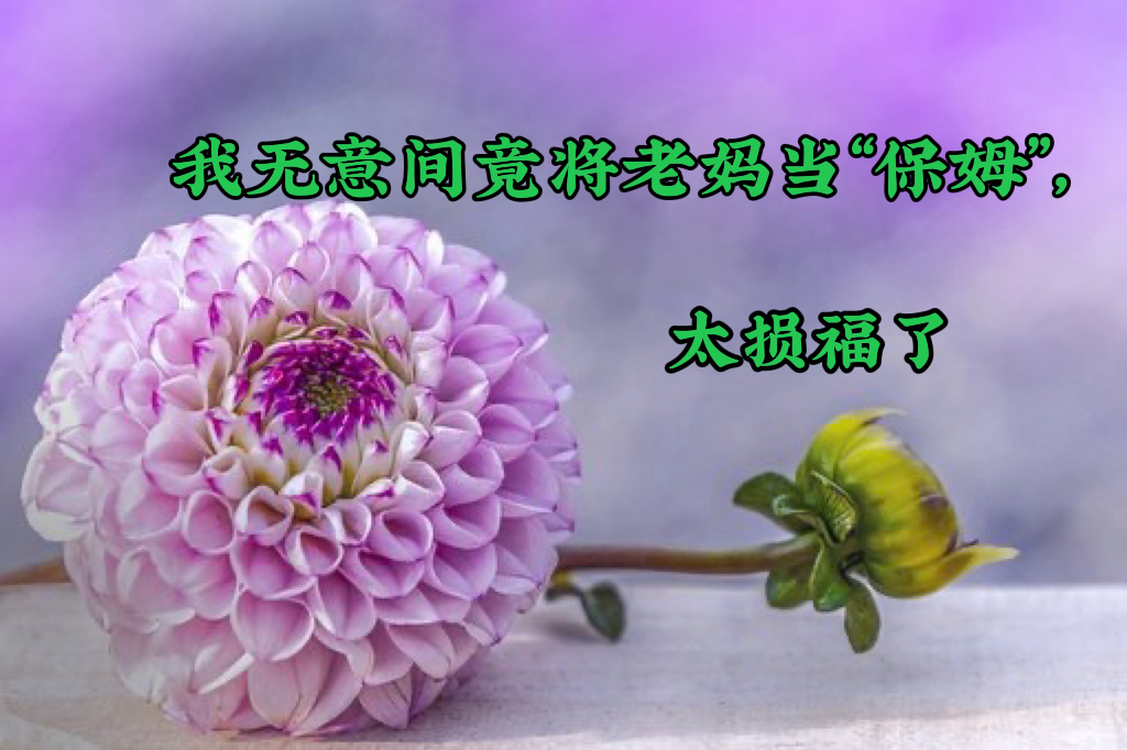 我无意间竟将老妈当“保姆”,太损福了
