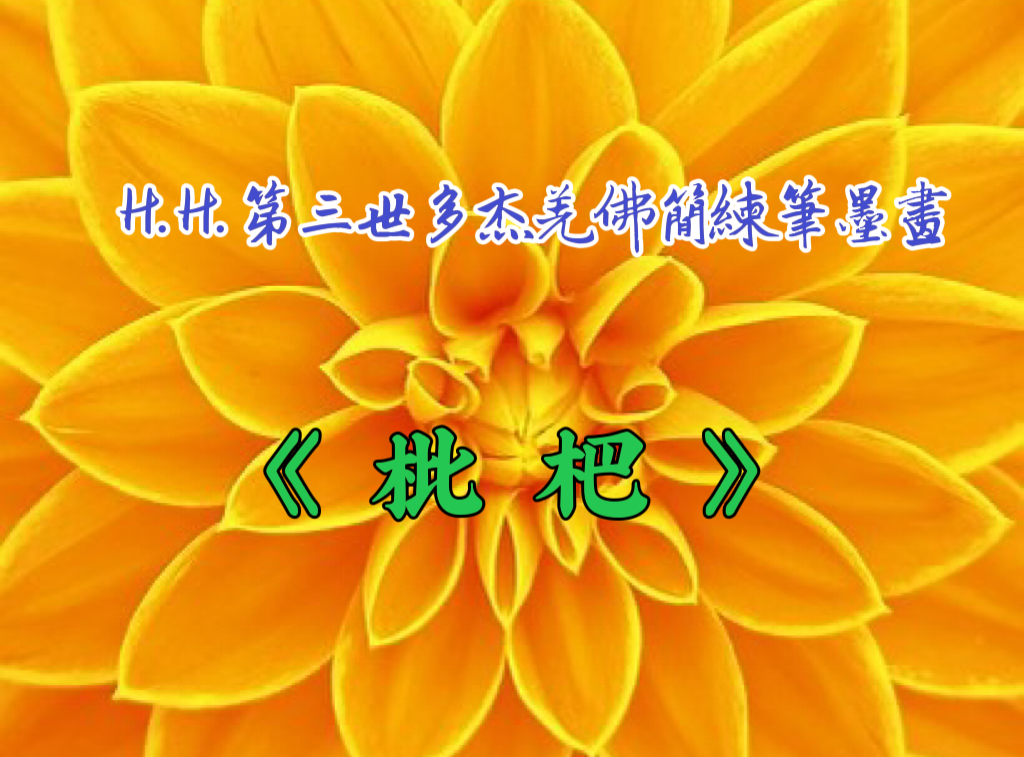 H.H.第三世多杰羌佛簡練筆墨畫《枇杷》