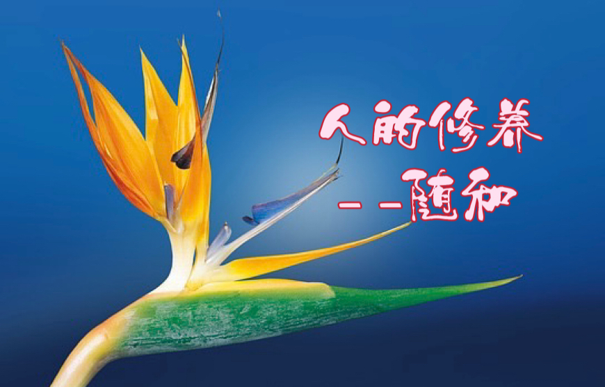 人的修养一一随和