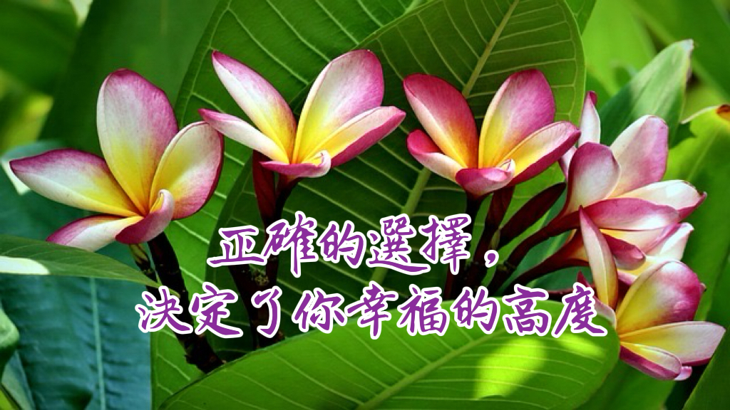 正確的選擇，決定了你幸福的高度