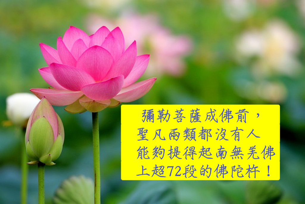 彌勒菩薩成佛前，聖凡兩類都沒有人能夠提得起南無羌佛上超72段的佛陀杵！