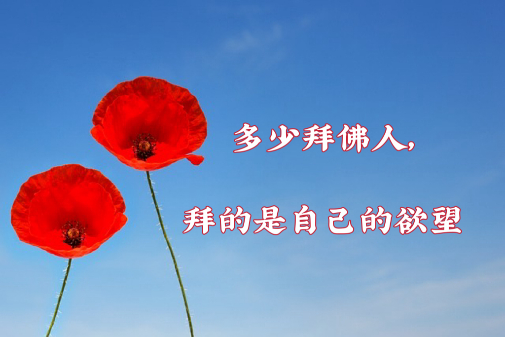 多少拜佛人，拜的是自己的欲望