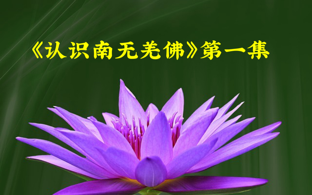 《认识南无羌佛》第一集