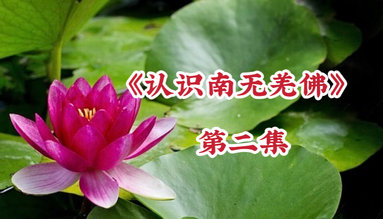 认识南无羌佛》第二集