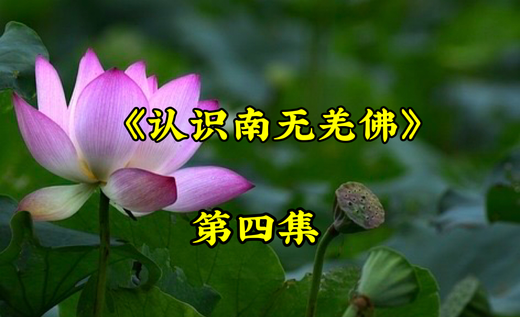 《认识南无羌佛》第四集