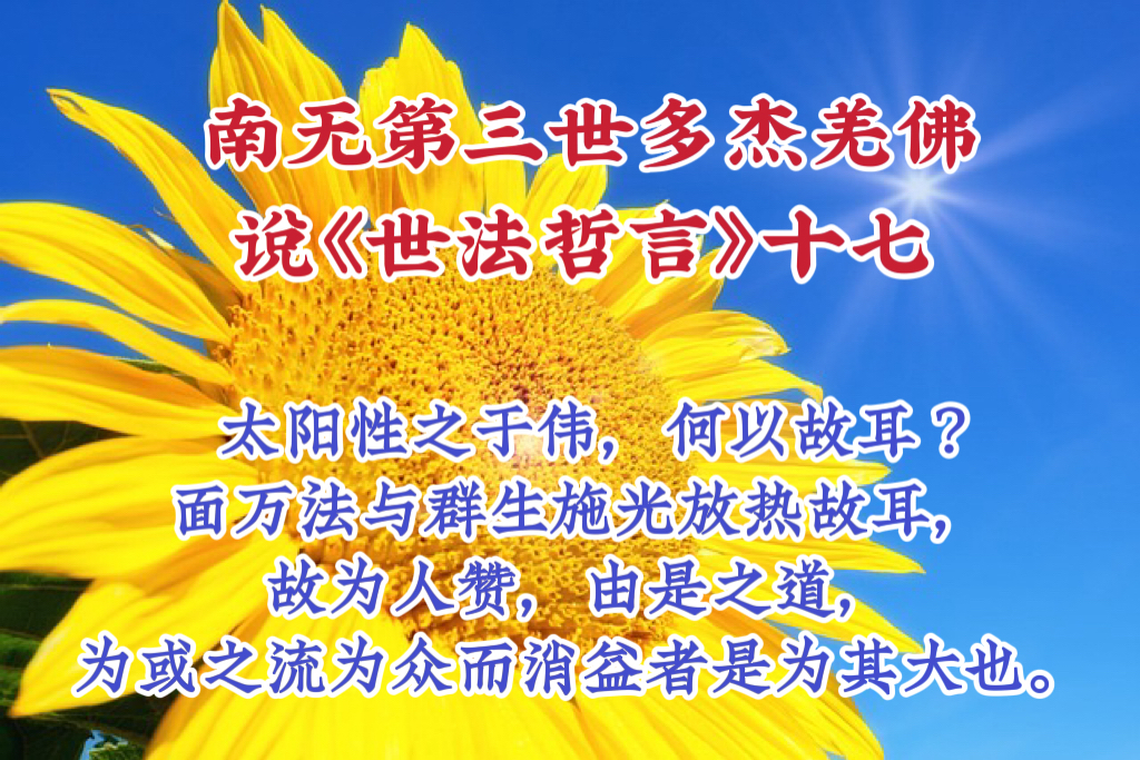 南无第三世多杰羌佛說《世法哲言》十七
