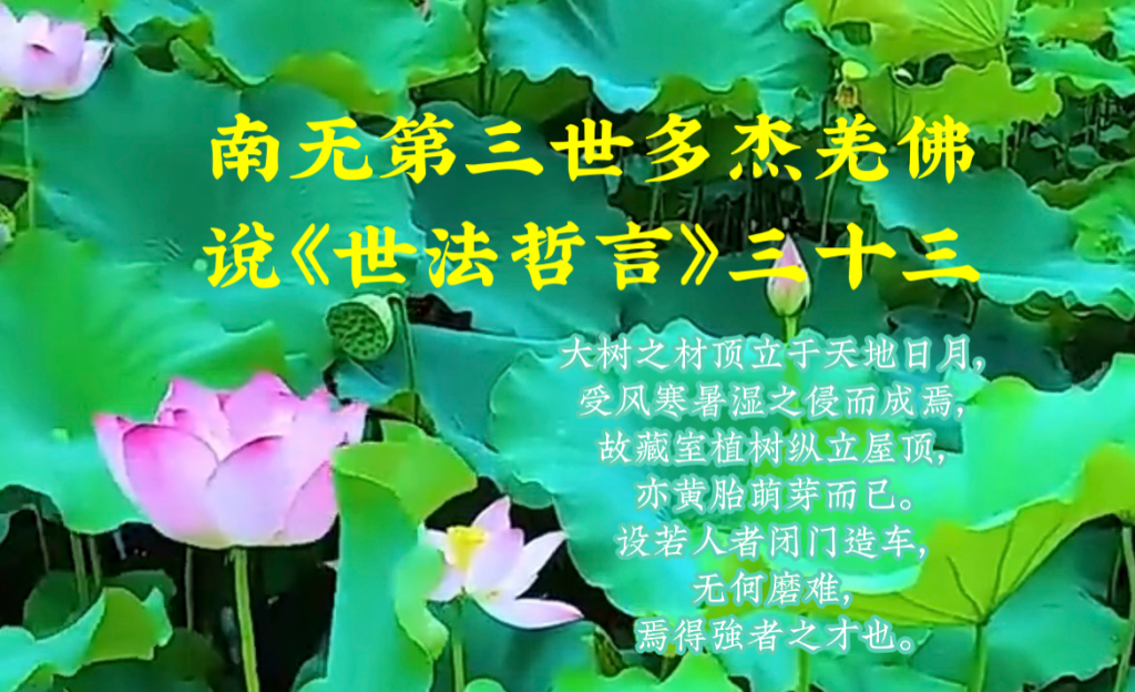 南无第三世多杰羌佛说《世法哲言》三十三