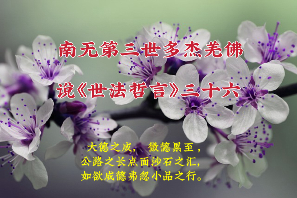 南无第三世多杰羌佛说《世法哲言》三十六