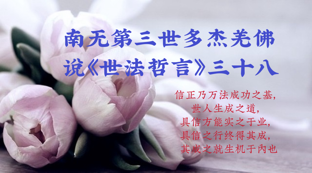 南无第三世多杰羌佛说《世法哲言》三十八