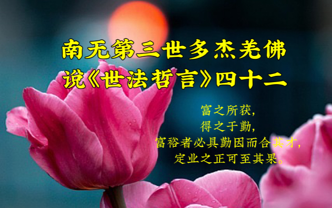 南无第三世多杰羌佛说《世法哲言》四十二