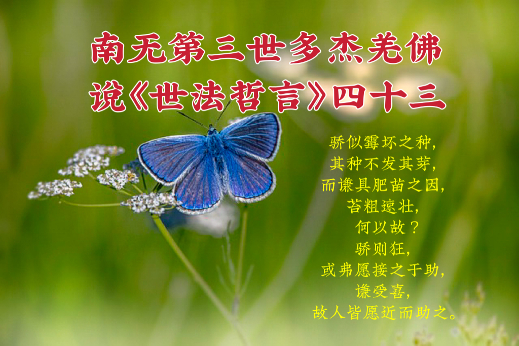 南无第三世多杰羌佛说《世法哲言》四十三