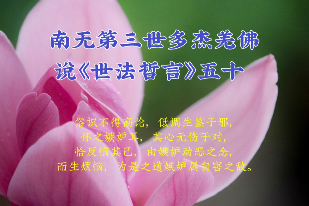 南无第三世多杰羌佛说《世法哲言》五十