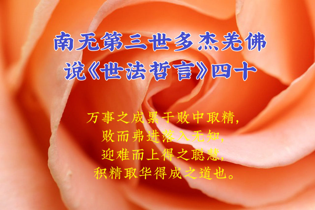 南无第三世多杰羌佛说《世法哲言》四十