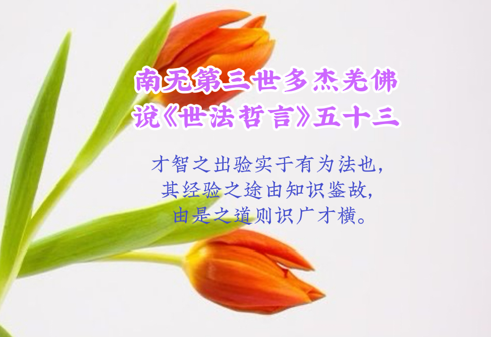 南无第三世多杰羌佛说《世法哲言》五十三