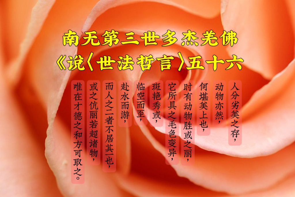 南无第三世多杰羌佛說《世法哲言》五十六