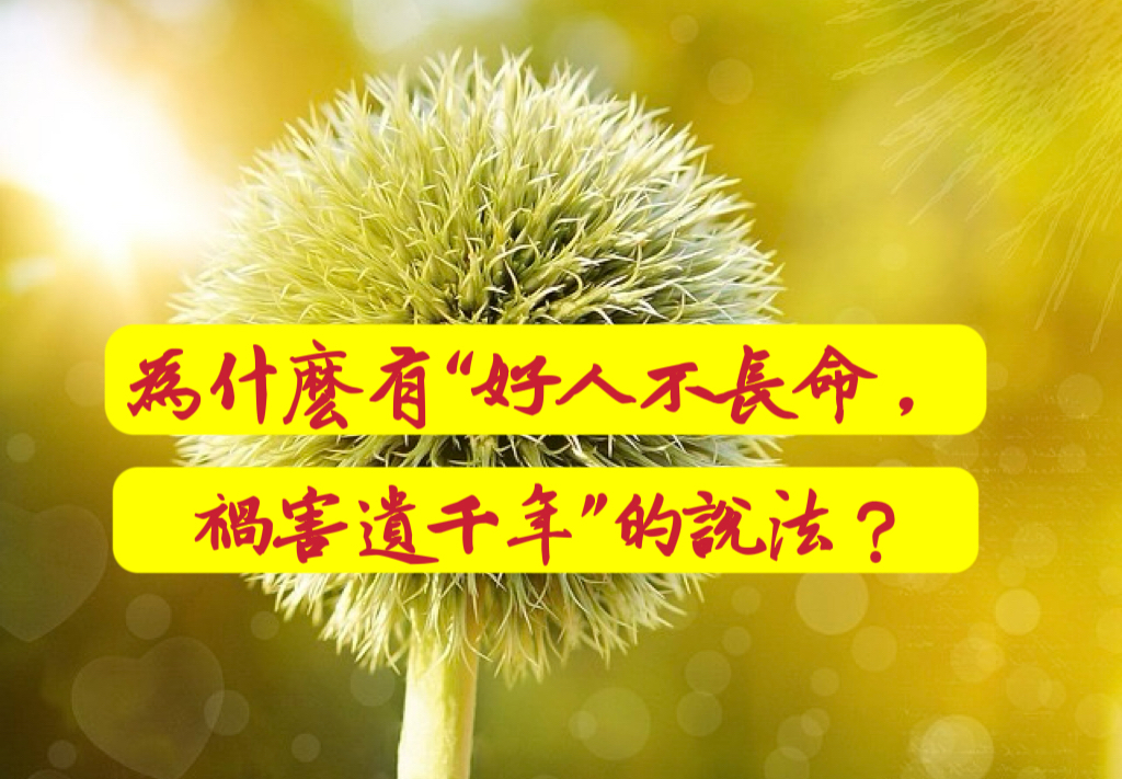 為什麼有“好人不長命，禍害遺千年”的說法？