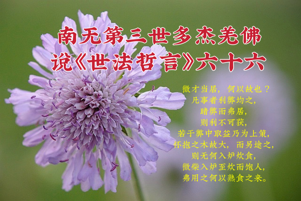 南无第三世多杰羌佛說《世法哲言》六十六