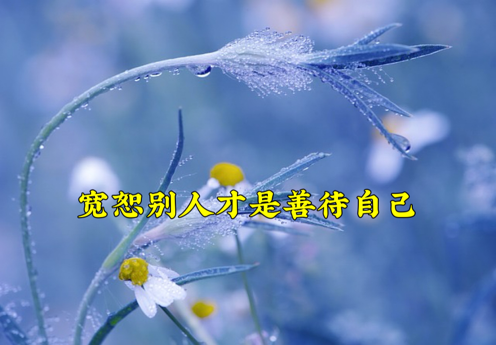 宽恕别人才是善待自己