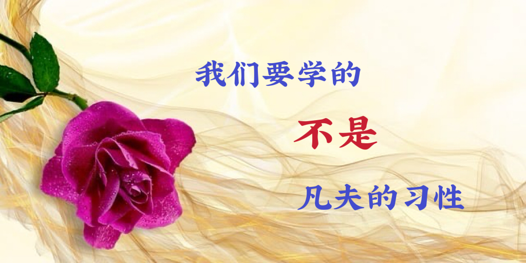 我们要学的不是凡夫习性
