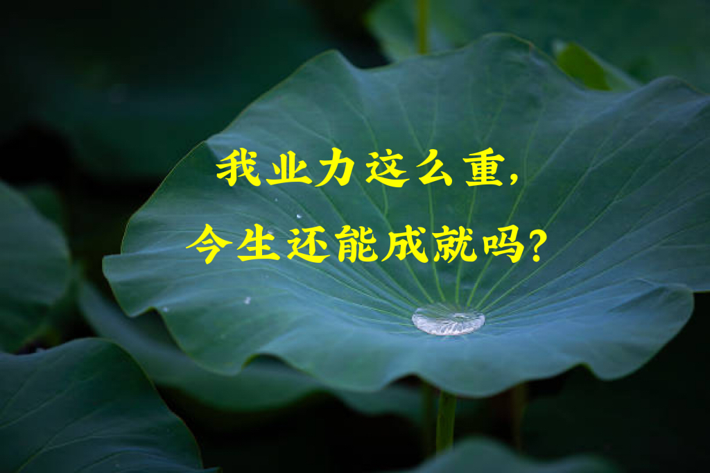 “我业力太重了，黑业深，我能成就吗？”