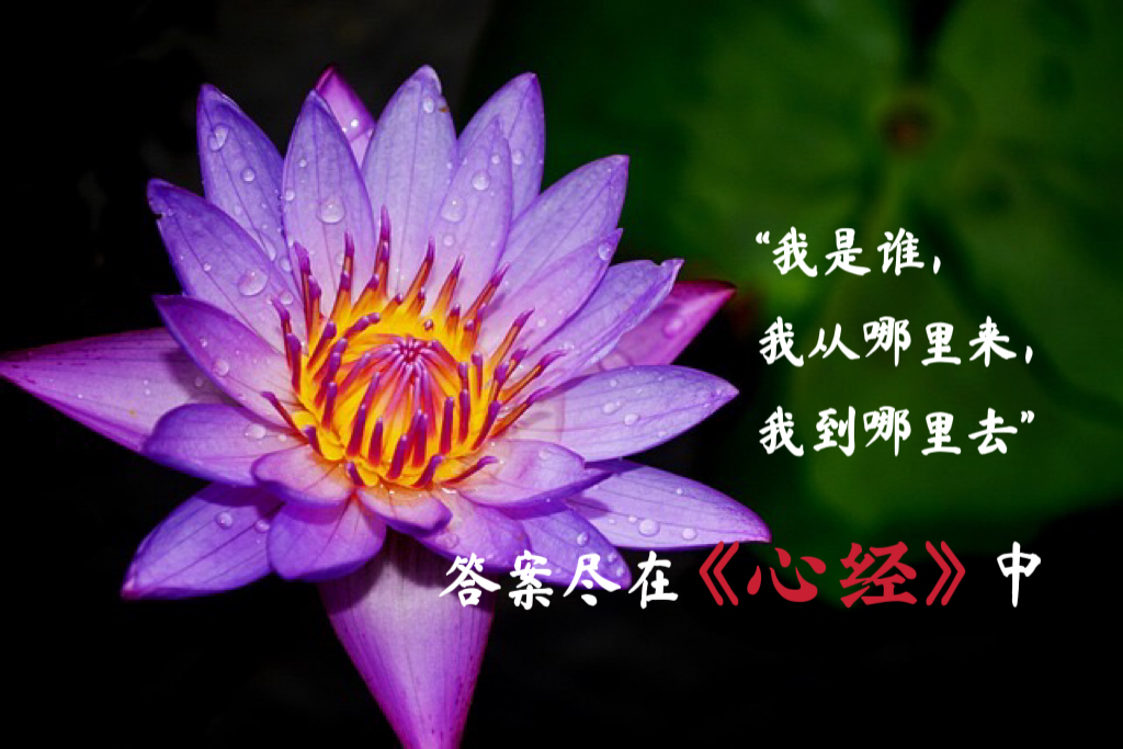 “我是谁,我从哪里来,我到哪里去”答案尽在《心经》中