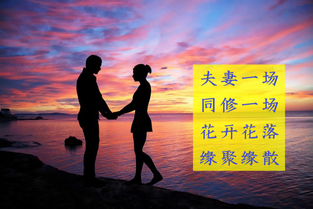 夫妻一场，同修一场，花开花落，缘聚缘散