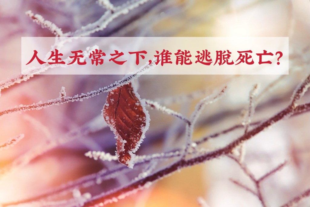 人生无常之下,谁能逃脱死亡?
