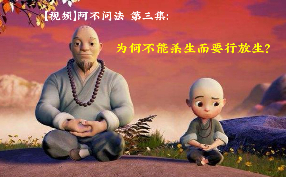 【视频】阿不问法 第三集：为何不能杀生而要行放生？