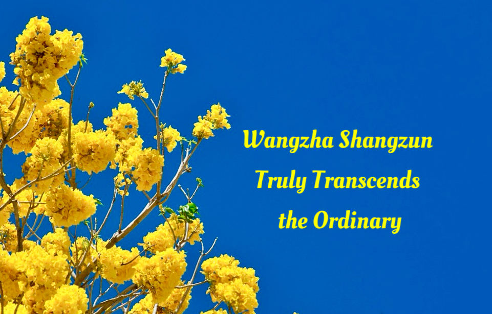 Wangzha Shangzun Truly Transcends the Ordinary