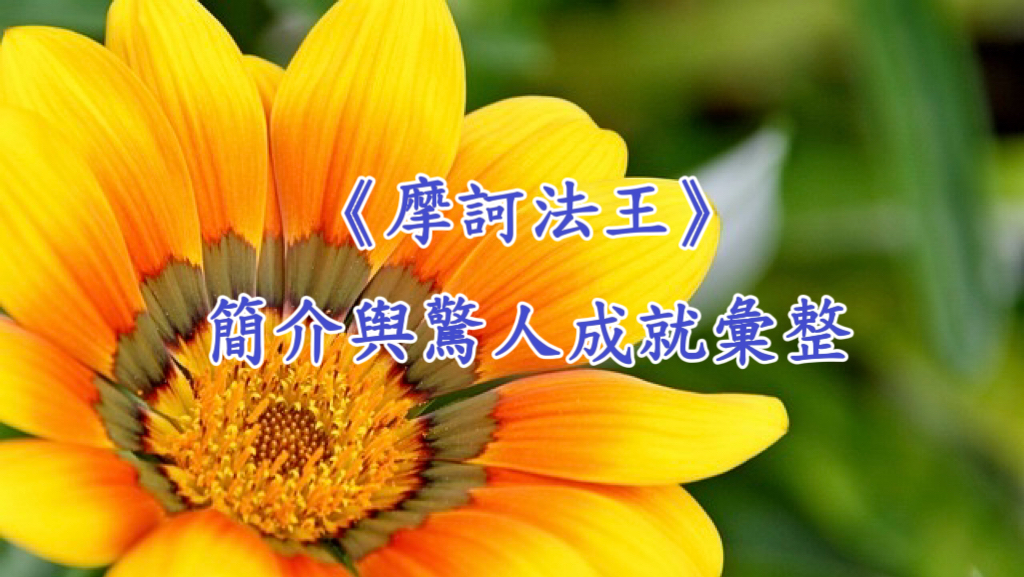 《摩訶法王》簡介與驚人成就彙整