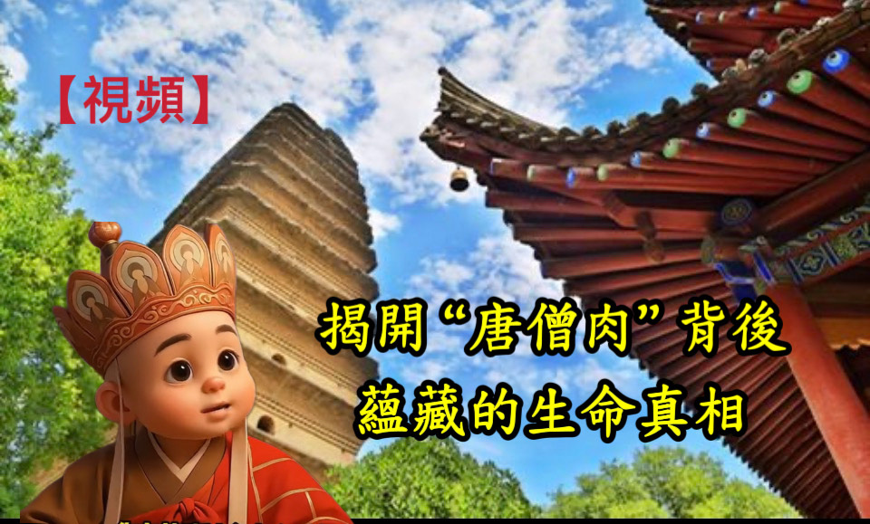 【視頻】揭開“唐僧肉”背後蘊藏的生命真相