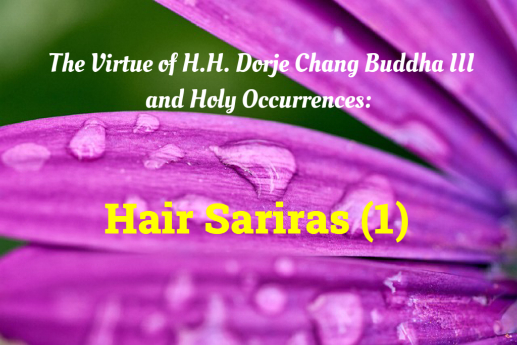 The Virtue of H.H. Dorje Chang Buddha III and Holy Occurrences: Hair Sariras (1)