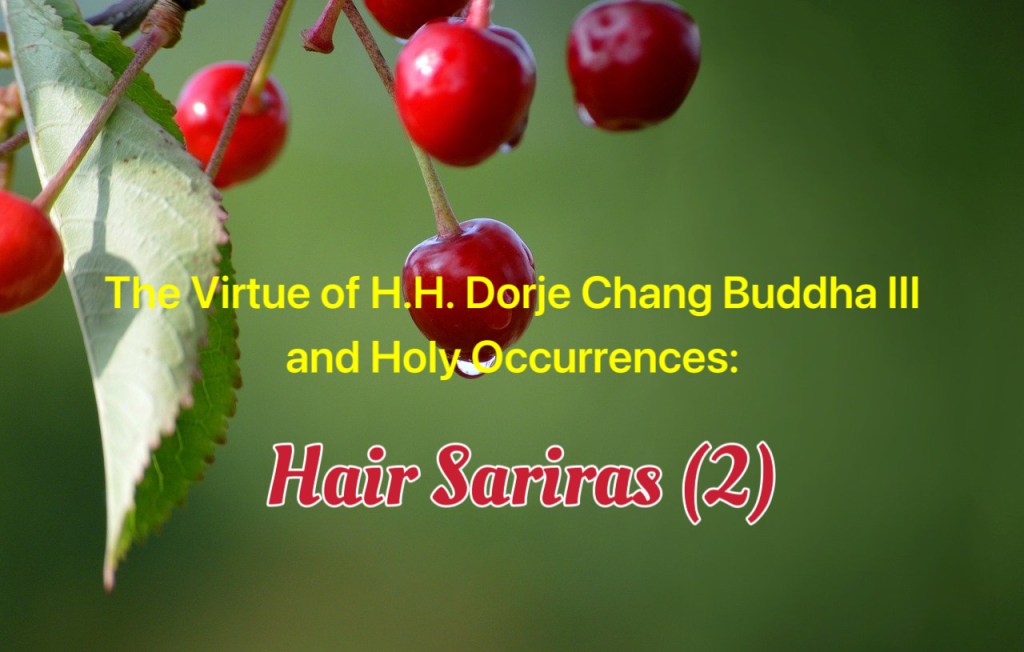 The Virtue of H.H. Dorje Chang Buddha III and Holy Occurrences: Hair Sariras (2)