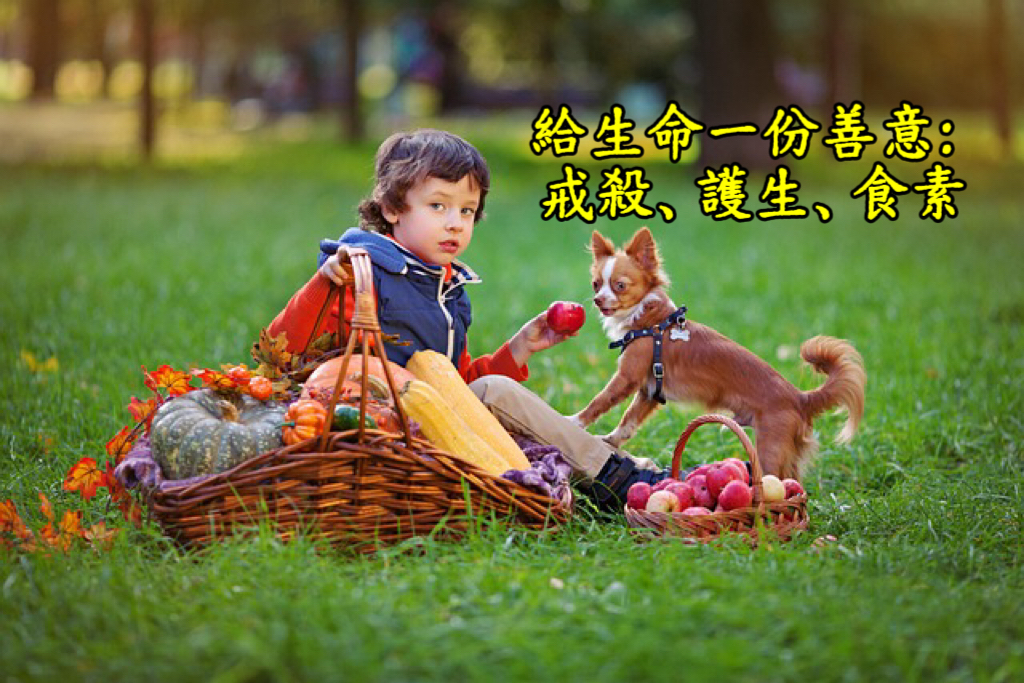 給生命一份善意:戒殺、護生、食素