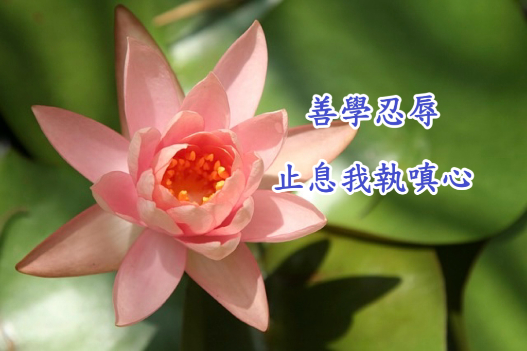 善學忍辱，止息我執嗔心