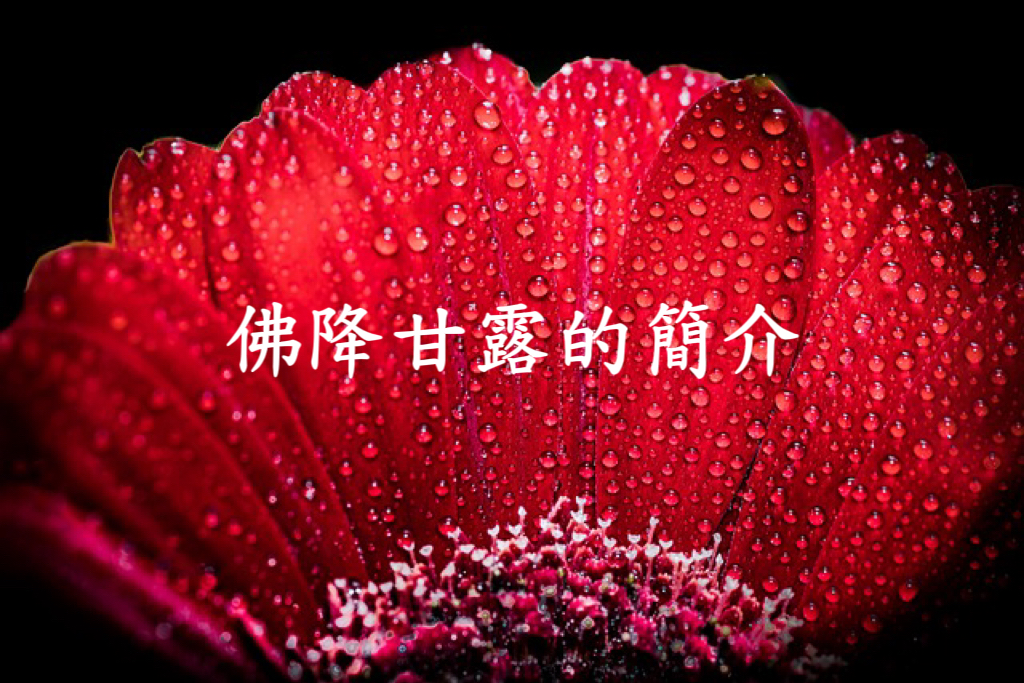 佛降甘露的簡介