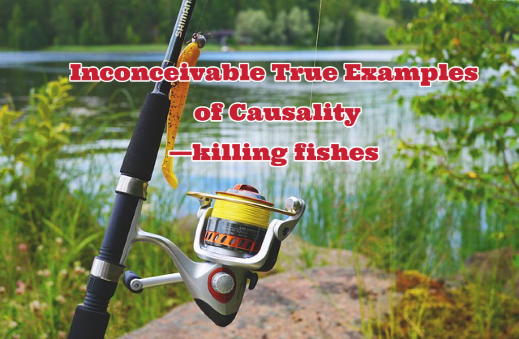 Inconceivable True Examples of Causality —killing fishes