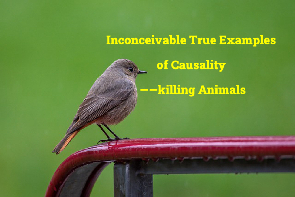Inconceivable True Examples of Causality —killing Animals