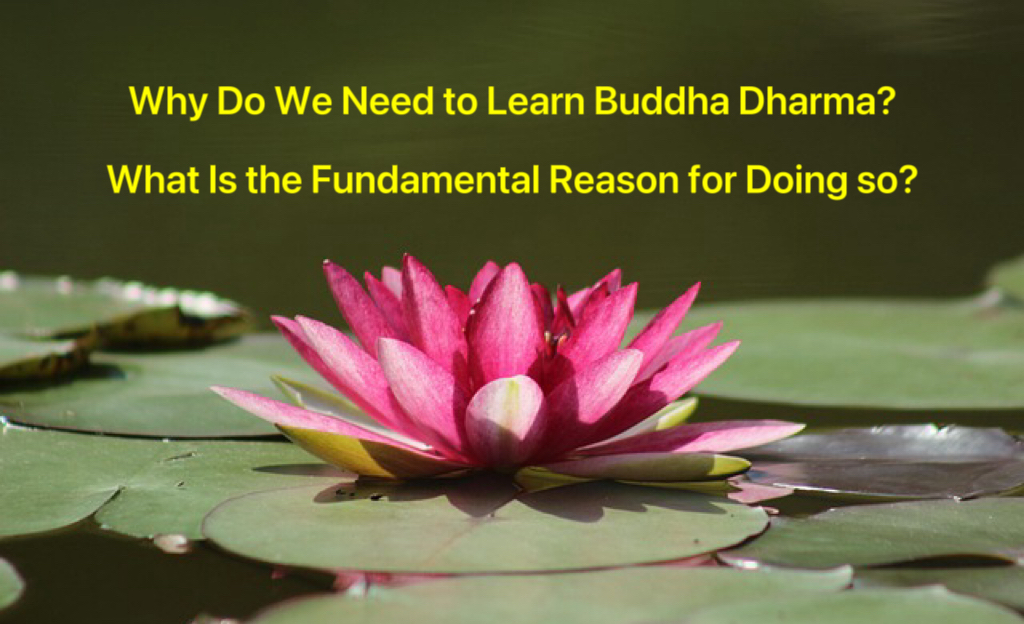 Why Do We Need to Learn Buddha Dharma? What Is the Fundamental Reason for Doing so?