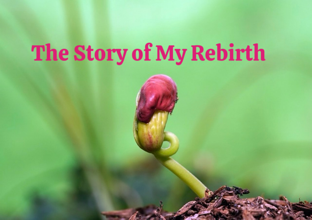 The Story of My Rebirth